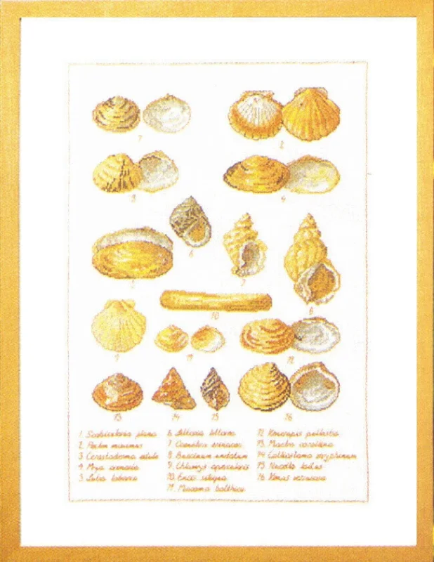 Lågt pris Broderikit Musselskal 41 x 56 cm 5676