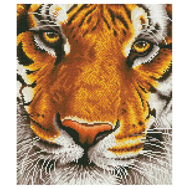 Sista chansen Diamond Dotz Bengal Magic