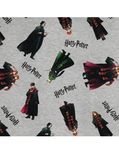 Licensjersey Harry Potter 208841 Fynd