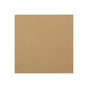 Populärt val Royal Elegance Beige 30,5x30,5cm 160g – 25 ark