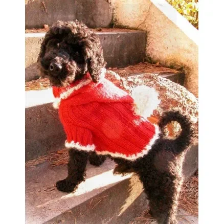 Expressleverans Santa Dog by DROPS Design – Hundtröja Stickbeskrivning strl. XS – M