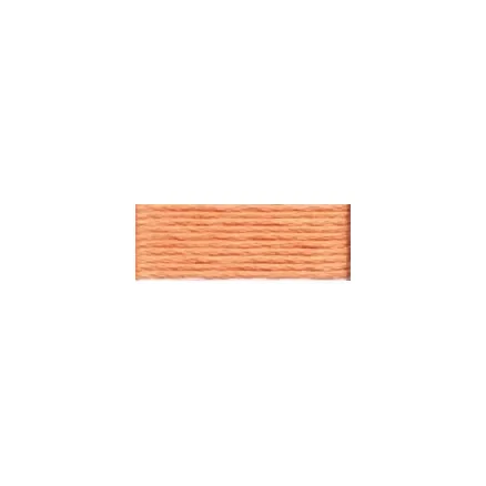 Kundfavorit DMC Mouliné Spécial 25 Broderigarn 3825 Lax