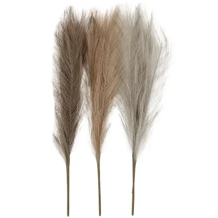 Pampasgräs, L: 50 cm, Ljus pulver, Ljus brun, Ljus grå, 3st/1 bt. Kundfavorit
