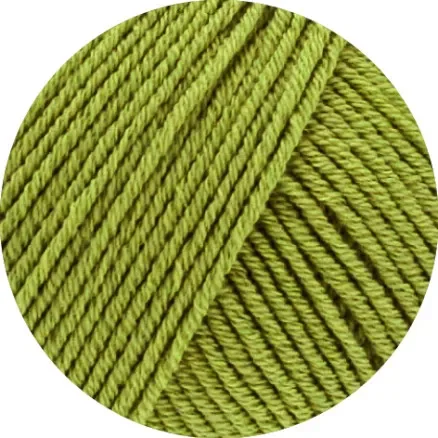 Lana Grossa Elastico Garn 202 Pistachio Nedsatt pris