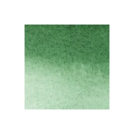 risnedsättning Akvarellpennor Hookers Green Dark 312